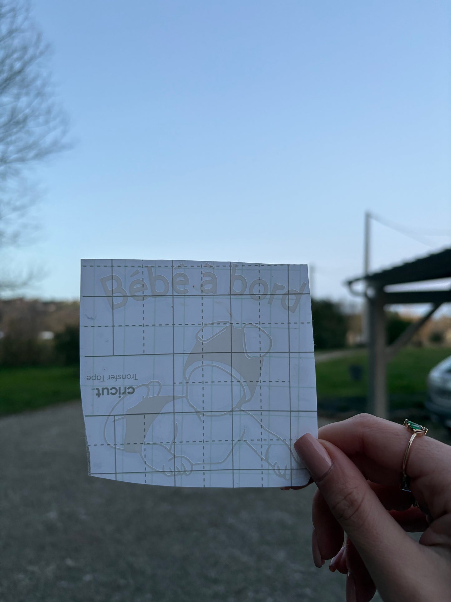 Bébé à Bord – Une douce annonce sur la route